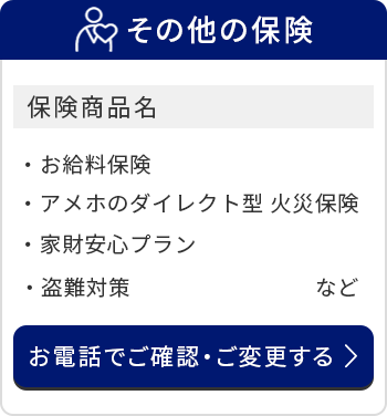 その他の保険/保険商品名/お給料保険/アメホのダイレクト型 火災保険/家財安心プラン/盗難対策　など/お電話でご確認・ご変更する