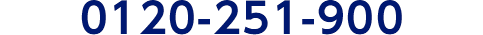 0120-251-900