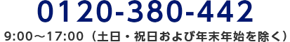 0120-380-442/9:00～17:00（土日・祝日および年末年始を除く）